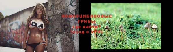 шишки Саяногорск