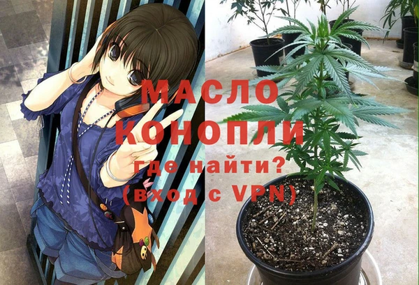 шишки Саяногорск