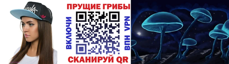 Галлюциногенные грибы мицелий Навашино